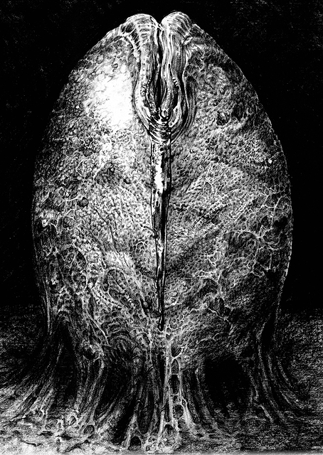 Alien Egg Stage 3 Sketch / PLATINA