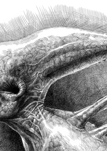 Alien Creature Left Profile Sketch / PLATINA