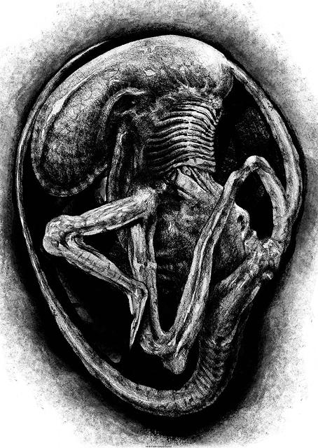 Alien Embryo Sketch / PLATINA
