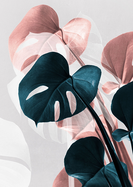 Monstera Creative 17 / PLATINA