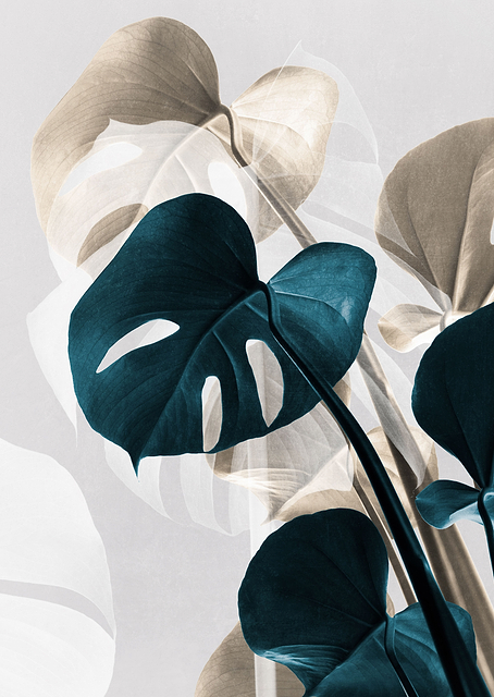 Monstera Creative 10 / PLATINA