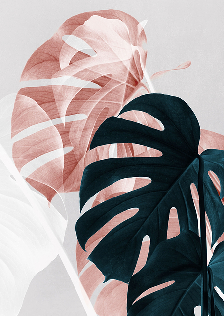 Monstera Creative 09 / PLATINA