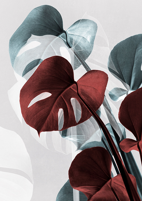 Monstera Creative 15 / PLATINA