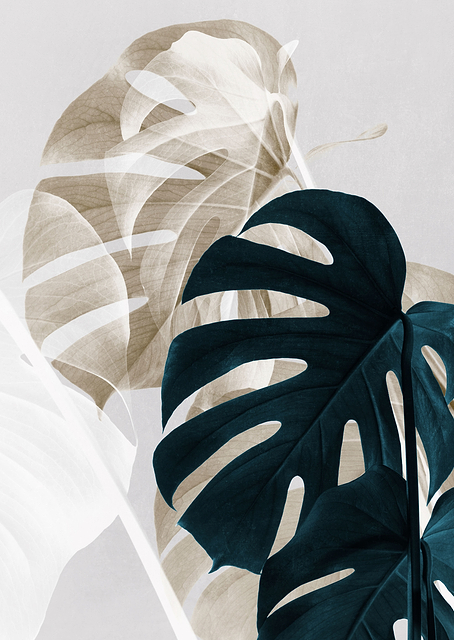 Monstera Creative 05 / PLATINA