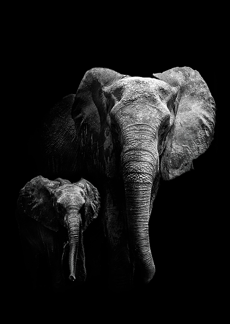 Mother and Child / PLATINA