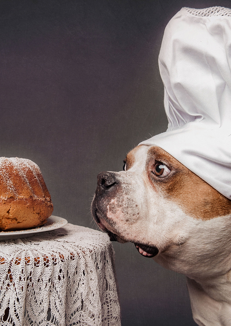 The Confectioner / PLATINA