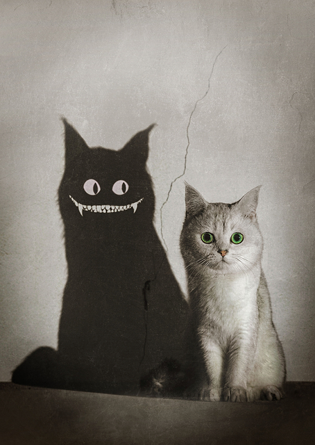 The Shadow Smiles to You / PLATINA
