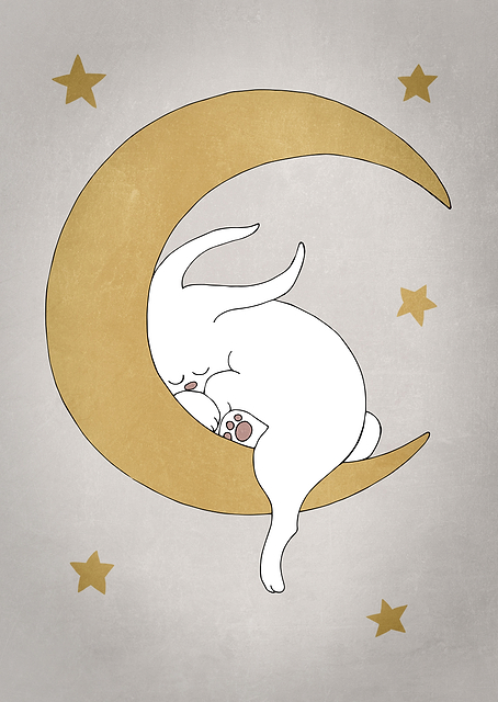 The Rabbit / PLATINA
