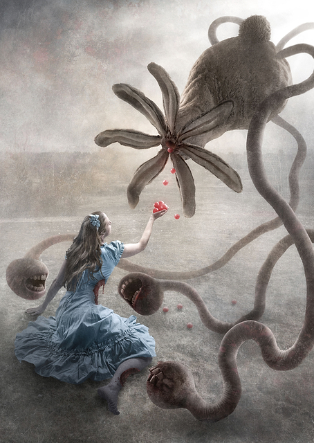 Wonderland / PLATINA