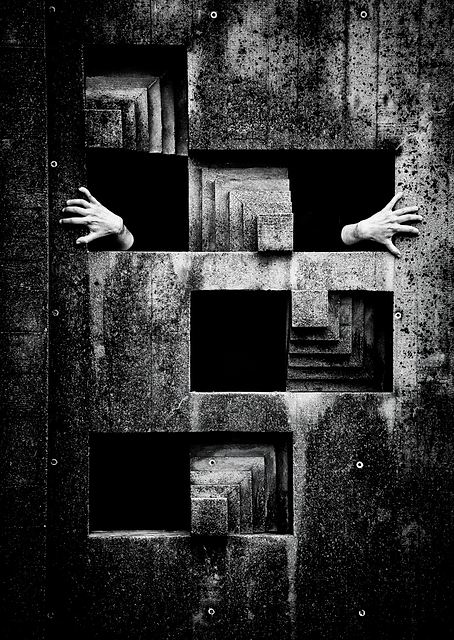 Basic emotions / PLATINA