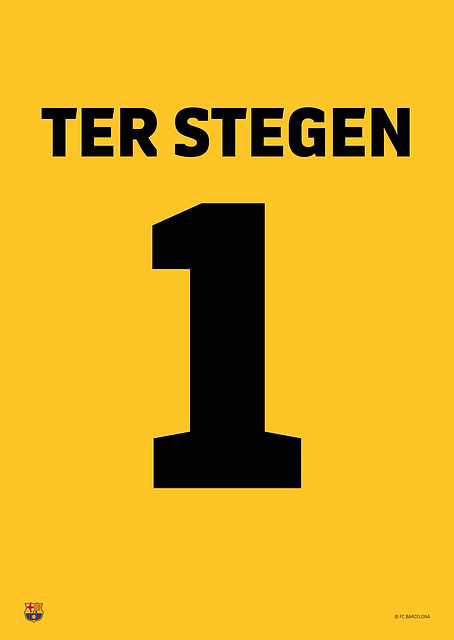 Ter Stegen Jersey / PLATINA