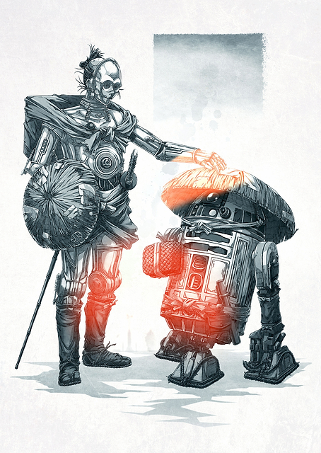 R2-D2 and C-3PO / PLATINA