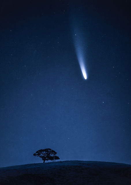 Visitor / PLATINA