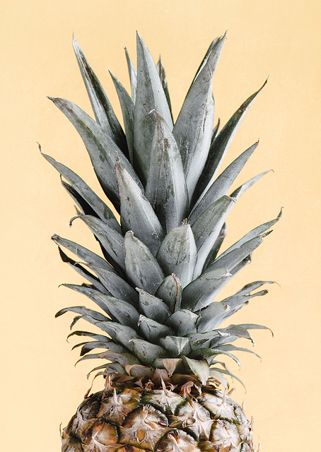 Pineapple Yellow / PLATINA