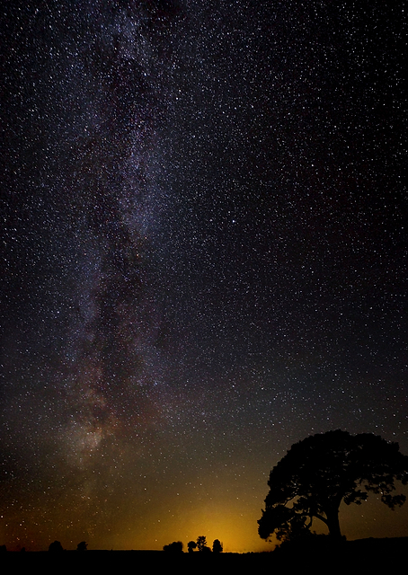 Milkyway / PLATINA