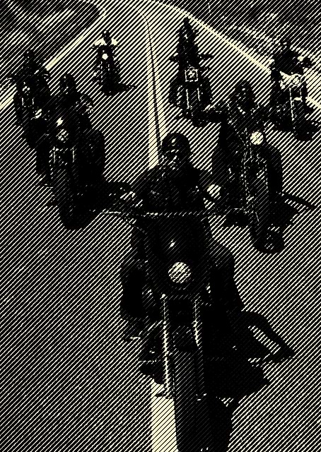 sons of anarchy / platina