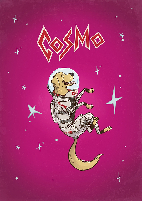 Cosmo the Space Dog / PLATINA