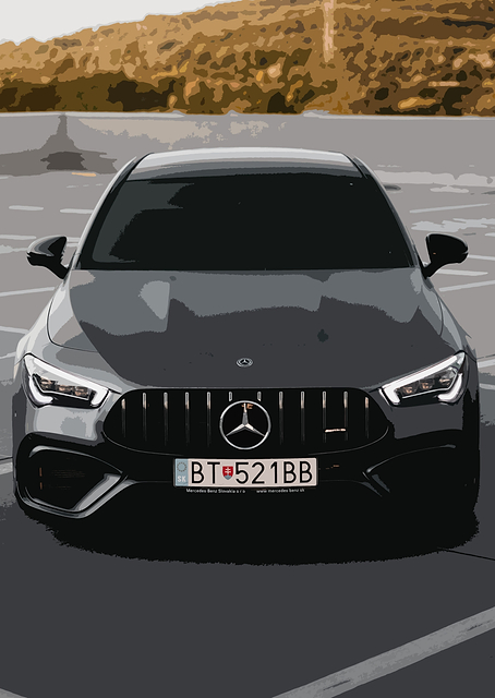 Mercedes Car / PLATINA