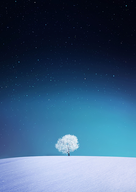 White Tree / PLATINA