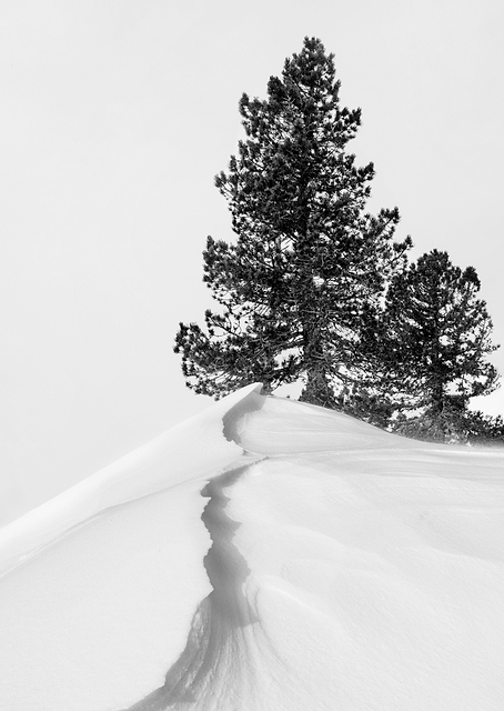 About the snow and forms / PLATINA