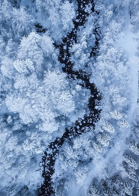 A Freezing Cold Beauty / PLATINA