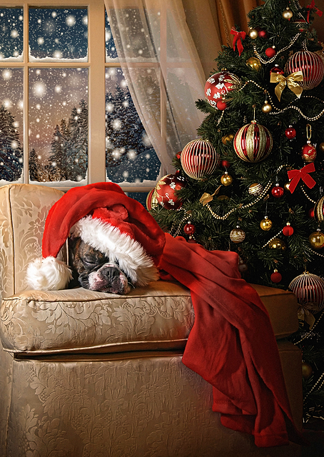 Waiting for Santa / PLATINA