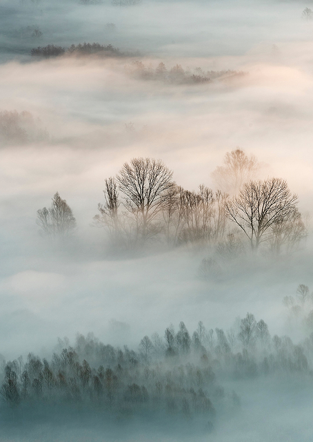 Winter fog / PLATINA