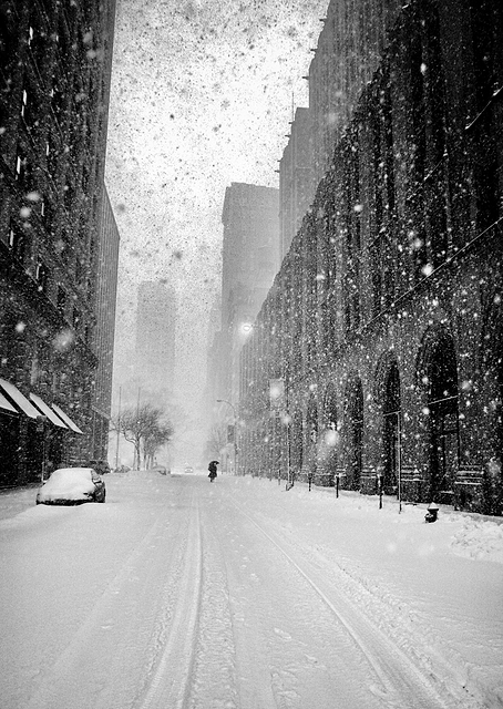 New York Christmas / PLATINA
