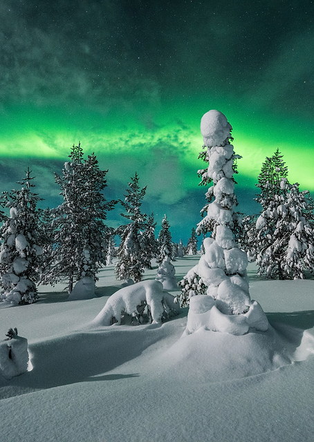 Polar Night / PLATINA