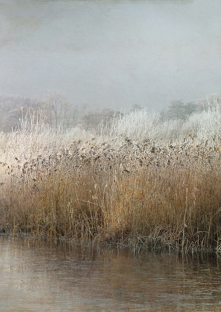 Wintermorning / PLATINA