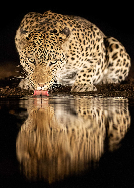 Thirsty / PLATINA