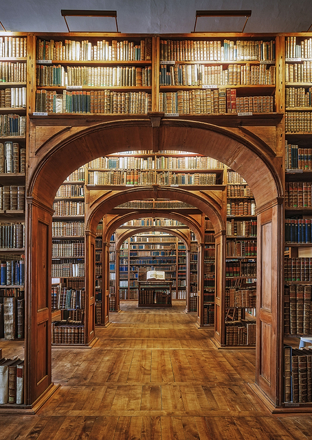 Library of Sciences / PLATINA