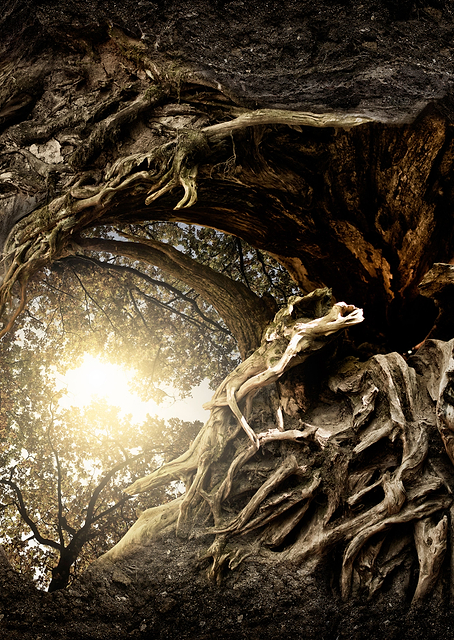 Under The Trees / PLATINA