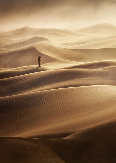 Dune / PLATINA