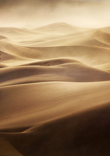 Dune 2 / PLATINA