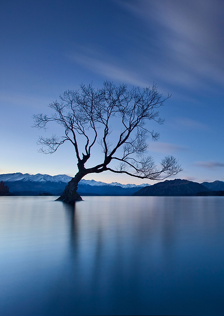 Wanaka Twilight / PLATINA