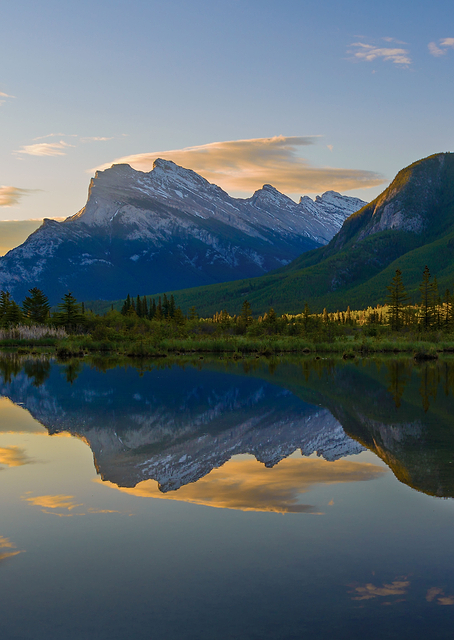 Quiet Summer Morning 2 / PLATINA