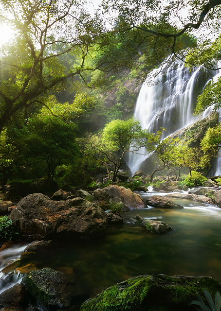 Mountain stream / PLATINA