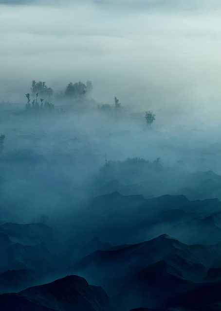 Land of Fog / PLATINA