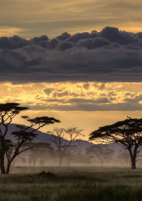 Good Evening Tanazania / PLATINA