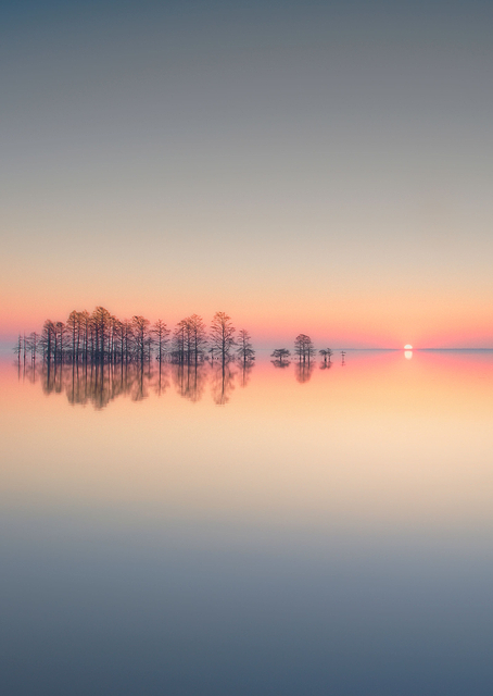 Lake Mattamuskeet Memory / PLATINA