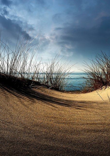 Dunes / PLATINA
