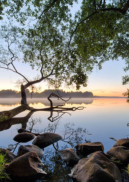 Lake view / PLATINA