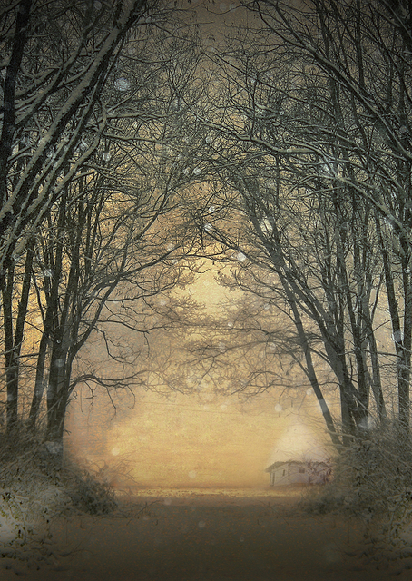 Winter Story / PLATINA