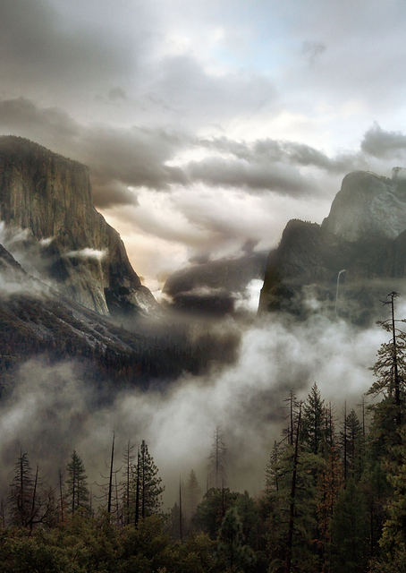 Upper Valley Morning / PLATINA