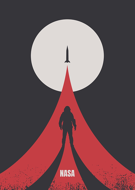 NASA Minimalistic / PLATINA