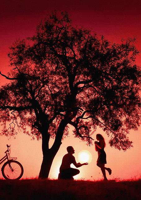 Sun for You / PLATINA