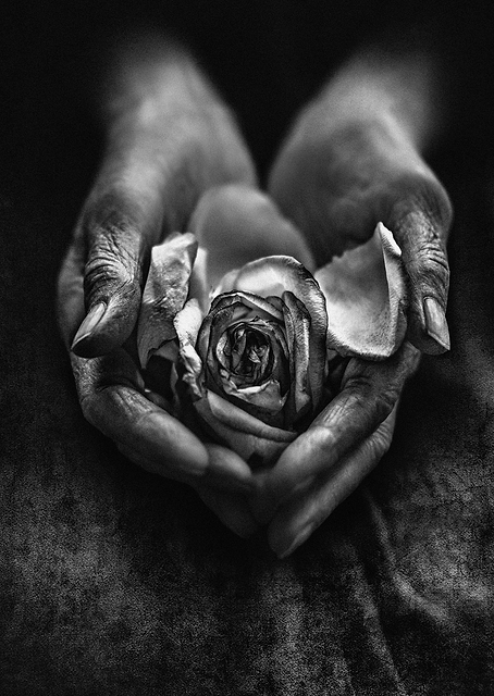 Caring Hands / PLATINA