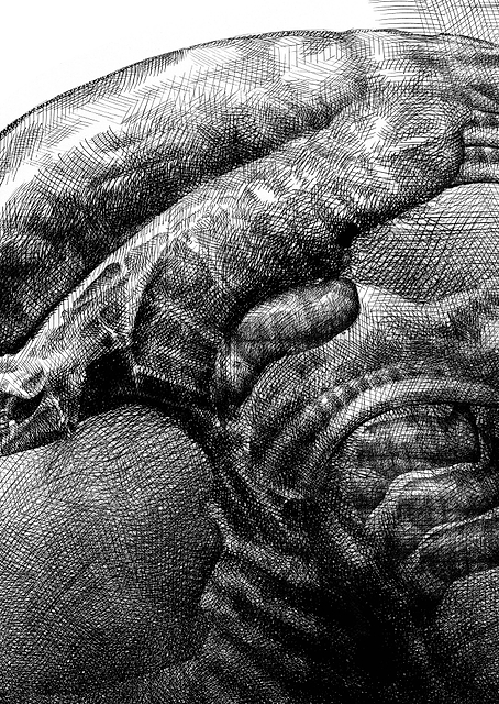 Alien left profile sketch / PLATINA