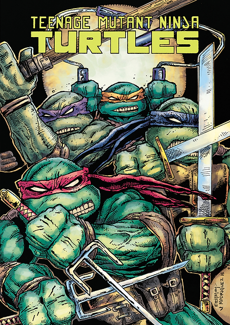 Cover TMNT / PLATINA